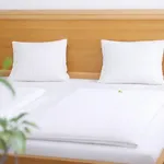 Stadthotel Carinthia
