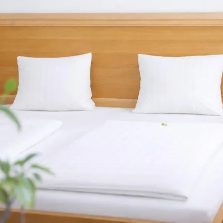 Stadthotel Carinthia