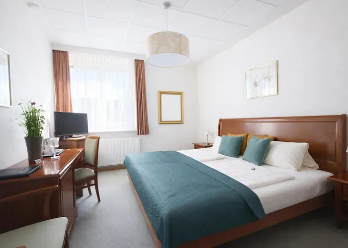 Stadthotel Carinthia 3* קלגנפורט