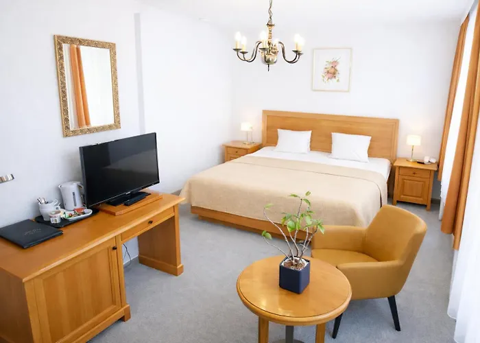 Stadthotel Carinthia 3*