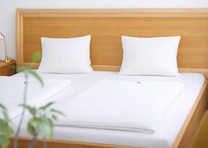 Stadthotel Carinthia